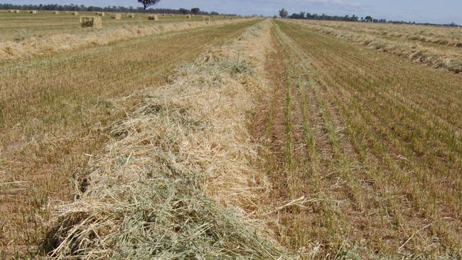 Hay and hay baling near Elmore.