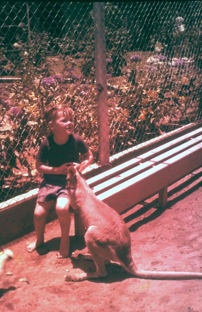 Little Fella with a wallaby at the Bayersville Zoo, circa 1960s. Picture: William Fair Collection/Have You Seen The Old Mackay