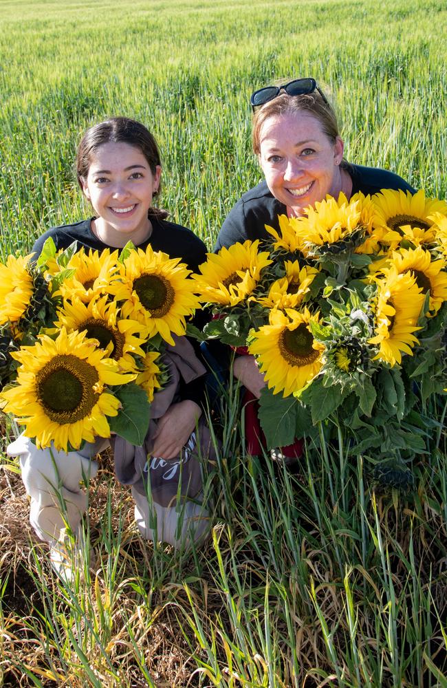 Ella and Sam Vasques.Open day at Warraba Sunflowers, Cambooya. Saturday June 29th, 2024