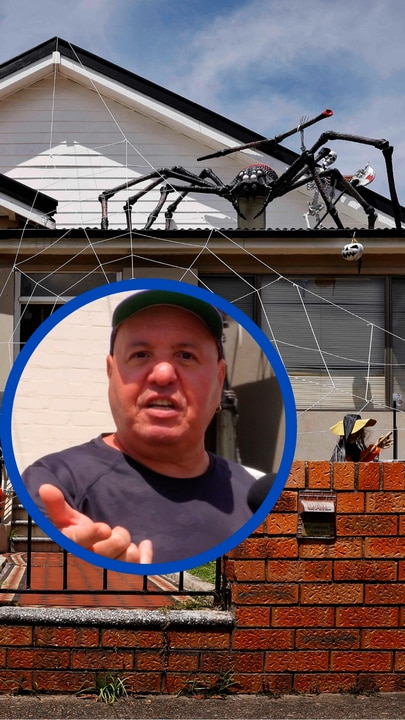 Neighbour's rant over Halloween spider feud