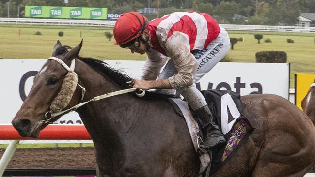 Matthew McGuren has a number of good rides including Shukkas and Coco Rox.