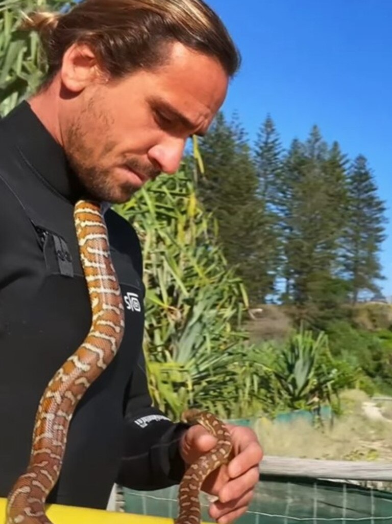 The snake’s welfare is a concern due to the stress of being in cold and salty water. Picture: Instagram/ @skymonkey5