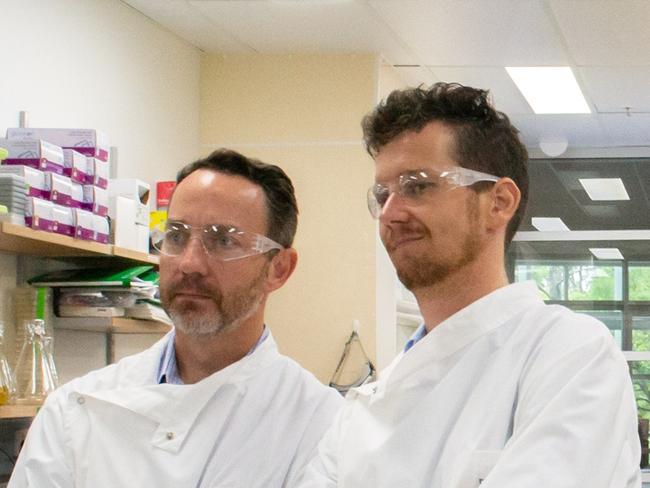 WARNING. SUNDAY TELEGRAPH SPECIAL. PLEASE CONTACT ST PIC ED JEFF DARMANIN BEFORE PUBLISHING.  (L-R) Professor Trent Munro and Dr KeithChappell busy in the lab, as part of aninternational collaboration to develop avaccine for the recent coronavirus outbreak.