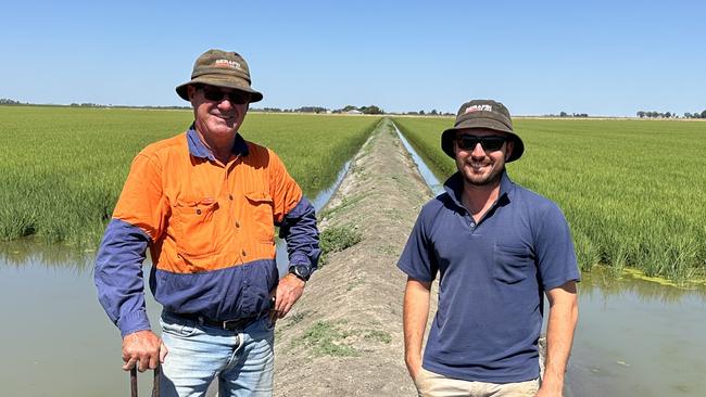 Glen Andreazza and son Daniel of Willbriggie in the Murrumbidgee Irrigation Area with their rice crop in the background. Picture: Supplied