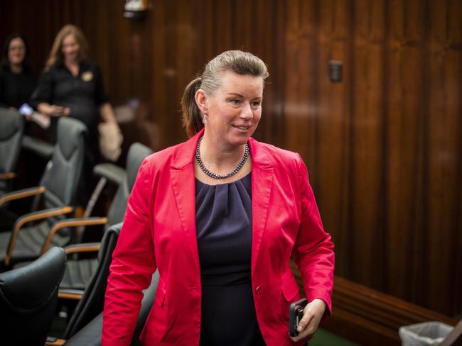 This is Janie Finlay’s second term in parliament. Before that she was on the Launceston City Council. Picture: Richard Jupe