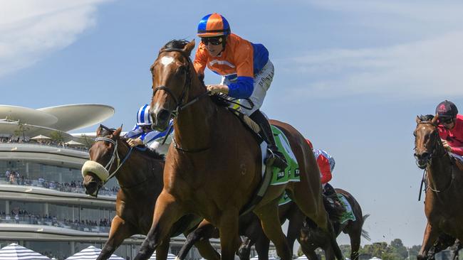 MELBOURNE, AUSTRALIA - FEBRUARY 17: Damian Lane riding Grinzinger Belle winning Race 6, the The Tab Vanity, during Melbourne Racing at Flemington Racecourse on February 17, 2024 in Melbourne, Australia. (Photo by Vince Caligiuri/Getty Images)