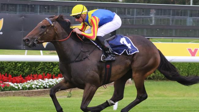 Po Kare Kare can bounce back off a luckless tough run last start. Picture: Grant Guy