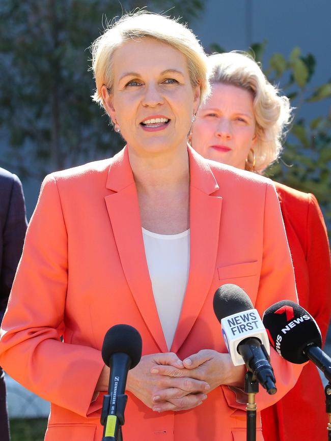 Minister for the Environment and Water Tanya Plibersek. Picture: NewsWire / Gaye Gerard