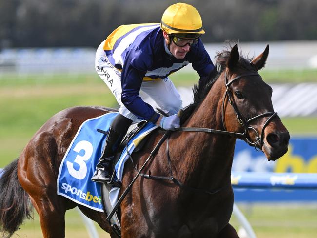 MELBOURNE, AUSTRALIA - SEPTEMBER 04: Mark Zahra riding Pharari winning Race 5, the Sportsbet Feed Handicap - Betting Odds during Melbourne Racing at Sandown Racecourse on September 04, 2024 in Melbourne, Australia. (Photo by Vince Caligiuri/Getty Images)