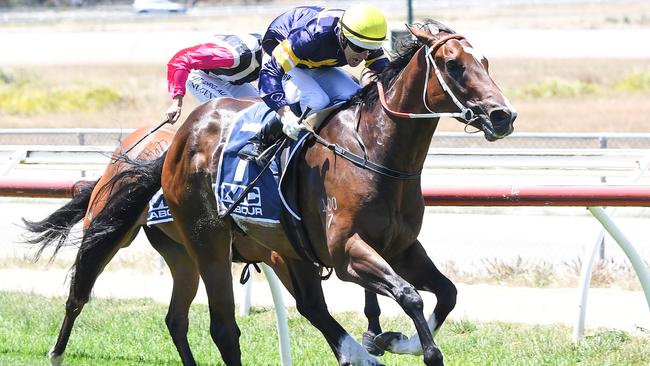 Noel Callow lands Diamonds'n'stones a clear winner of the MC Labour Maiden Plate at Kilmore. Picture: Pat Scala/Racing Photos via Getty Images