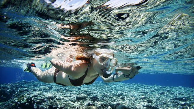 There are plenty of places to snorkel on the Gold Coast.