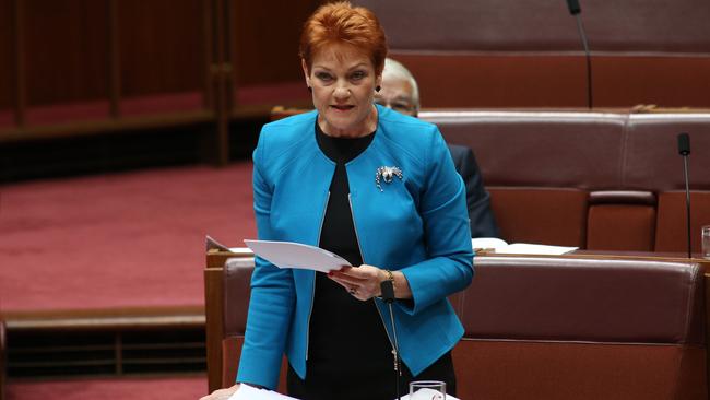 Senator Pauline Hanson told the senate Australia was in “danger of being swamped by Muslims” in 2016. Picture: Gary Ramage