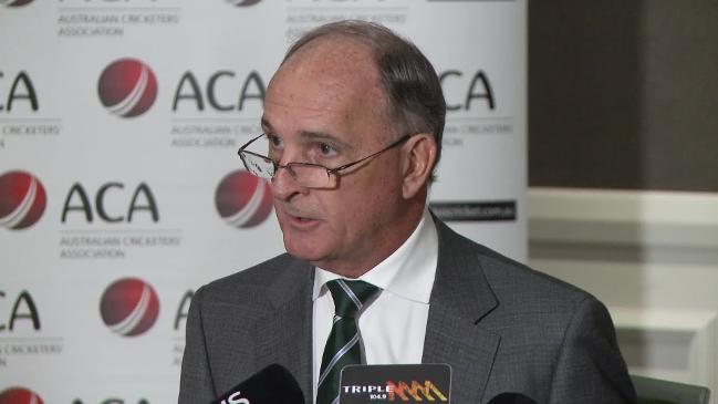 ACA calls for reduced bans, review into cricket cutlure