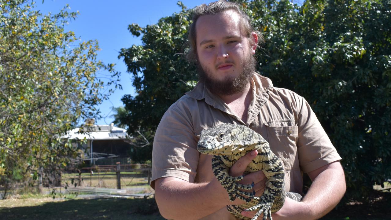 Mr Neason said anyone who came across an injured snake should call a snake capture.