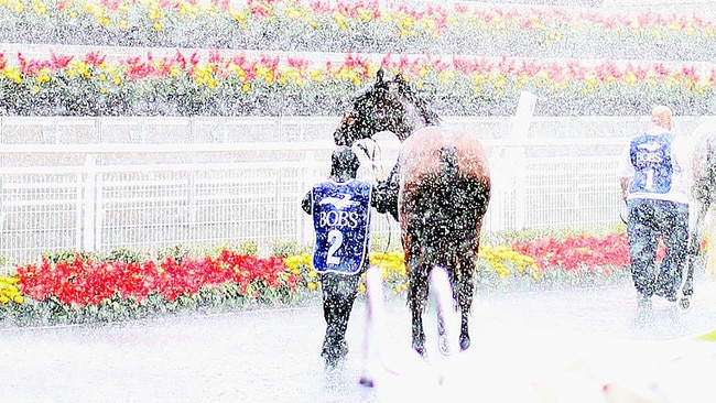 Heavy rain is expected in the lead-up to Day 1 of The Championship on Saturday. Picture: Ryan Pierse/Getty Images