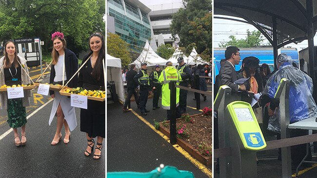 Crowds? What crowds? Early arrivals at Flemington have an easy time getting through security before picking up their Melbourne Cup lapel pins and roses.