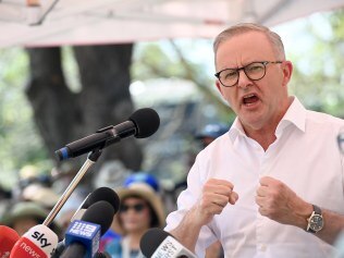 SYDNEY, AUSTRALIA - NewsWire Photos, FEB 18, 2023.
Australian Prime Minister Anthony Albanese speaks at  the Inner West BBQ for 
The Voice to Parliament at Petersham Park in Sydney.  
Picture: NCA NewsWire / Jeremy Piper