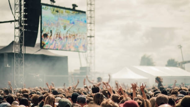 The operation was conducted at the Yours and Owls festival in Wollongong. Picture: Generic festival, iStock