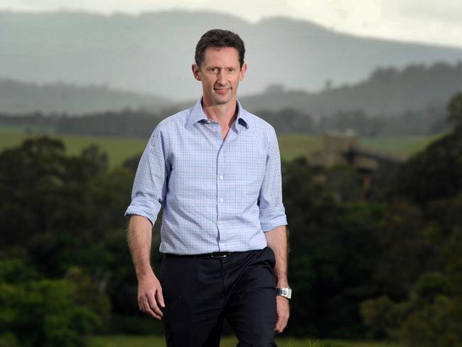 Shadow assistant treasurer Stephen Jones. Picture: Simon Bullard