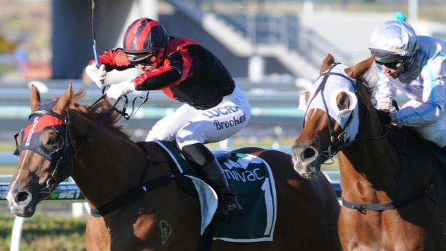 Jockey Tiffani Brooker was fined and suspended for overuse of the whip at Eagle Farm last Saturday. Picture: Natasha Wood, Trackside Photography