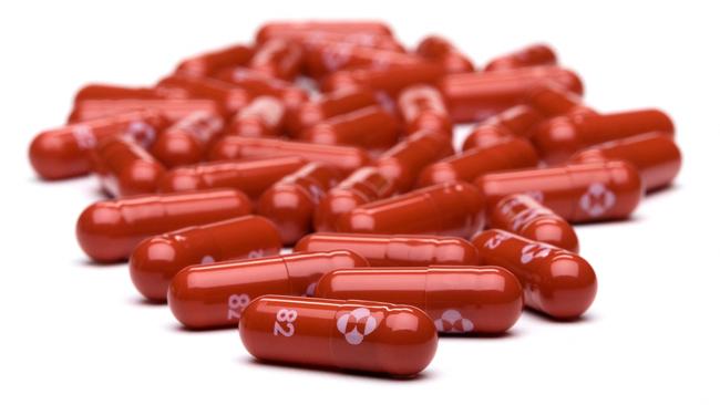 Merck shows capsules of the antiviral pill Molnupiravir.