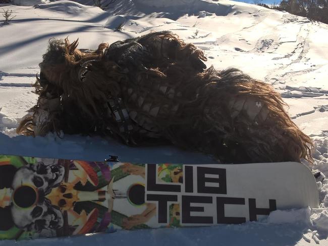 Keith Wass dressed as Chewbacca at Thredbo.