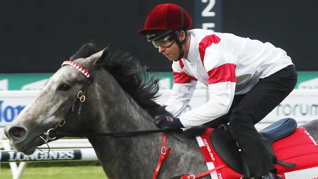 Classique Legend will be out to enchance his claims for The Everest in the Premiere Stakes. Picture: Getty Images