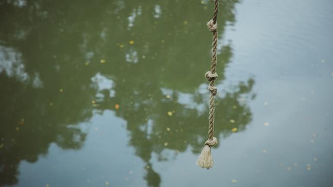 Mayor Tom Tate urged Gold Coasters to report all rope swings so they can be removed by council. Picture; Glenn Campbell