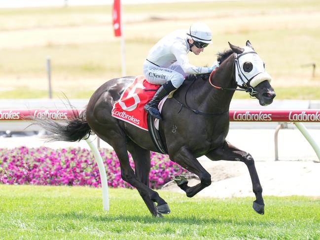 Motorace ridden by Craig Newitt wins the Hertz Cranbourne Classic at Cranbourne Racecourse on November 25, 2023 in Cranbourne, Australia. (Photo by Scott Barbour/Racing Photos via Getty Images)