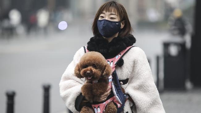 A woman with her dog in Wuhan. Picture: Getty Images