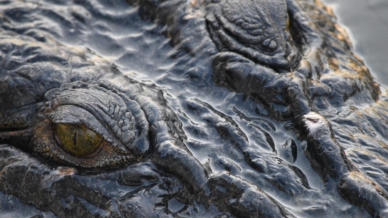 Cardwell woman shocked to catch a crocodile while fishing on the beach ...