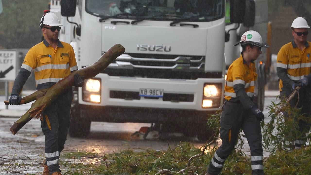 Workers clear fallen trees on Brisbane’s bayside. . Picture: NewsWire/Tertius Pickard