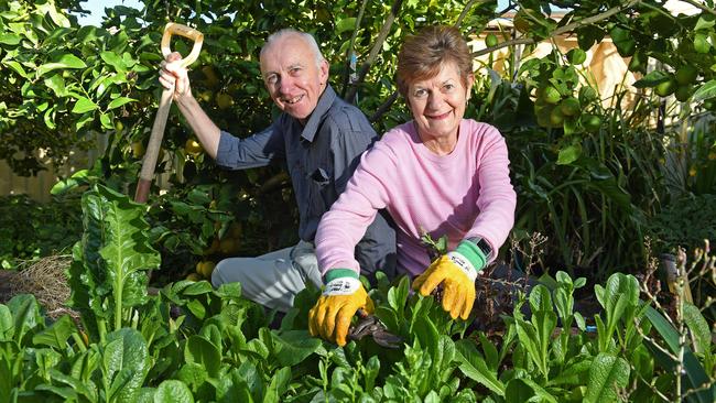 Marlene and Dom Henschke at their home. Picture: Tom Huntley