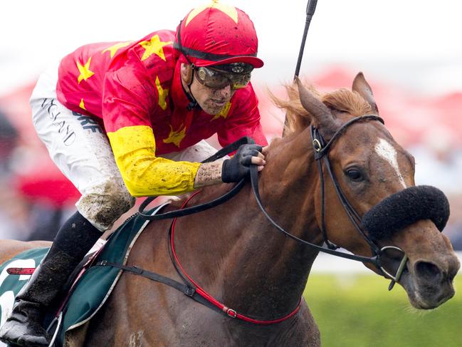 Jiayuguan ridden by Tye Angland wins race 5 during Melbourne Cup day at Royal Randwick. pic Jenny Evans