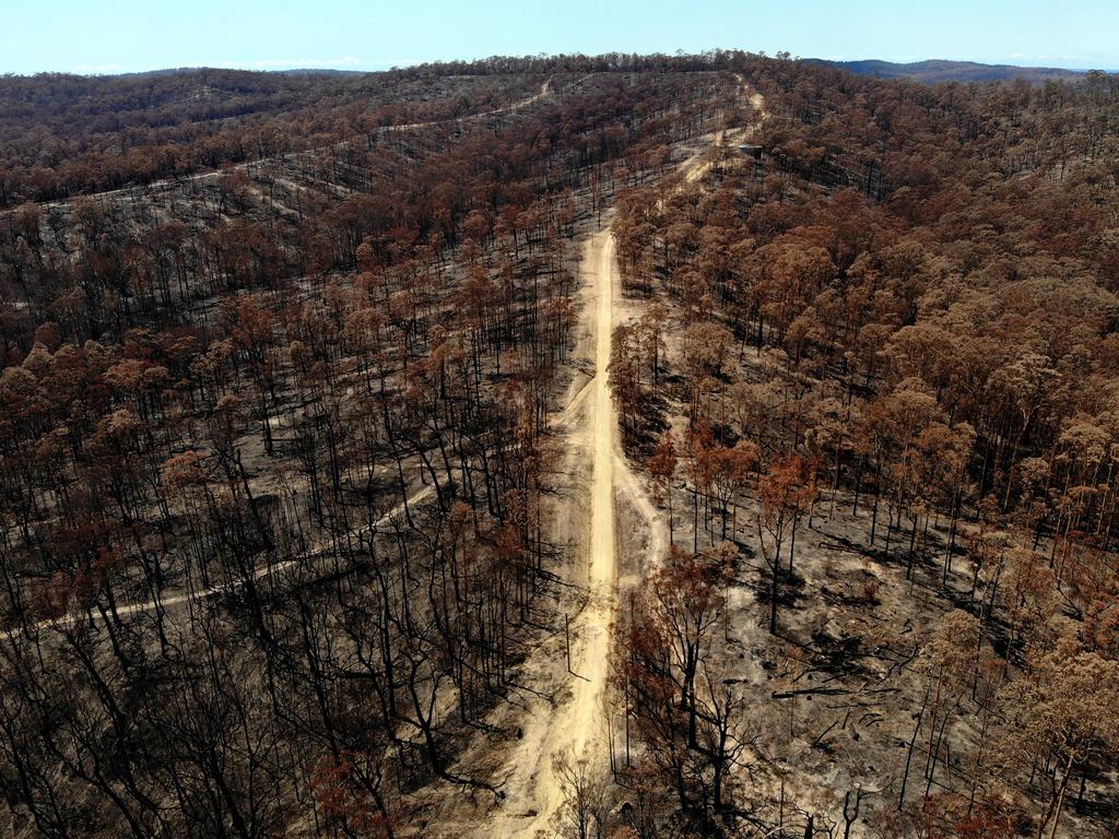 The small town of Mogo was hit hard by the New Year's Eve fire storm with many homes and buildings being destroyed. The bush land behind Mogo. Picture: Toby Zerna