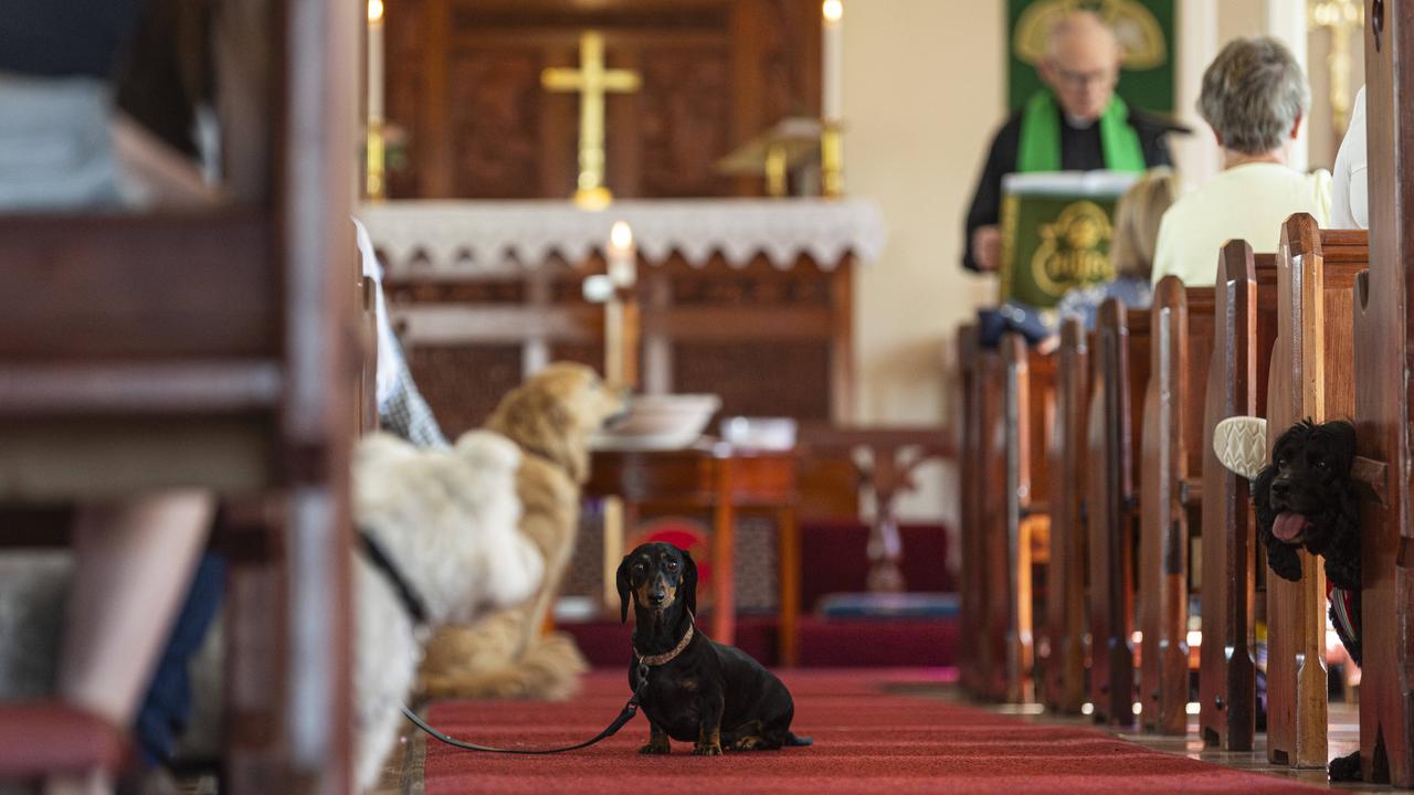 Blessing of the Pets at All Saints Anglican Church, Saturday, October 12, 2024. Picture: Kevin Farmer