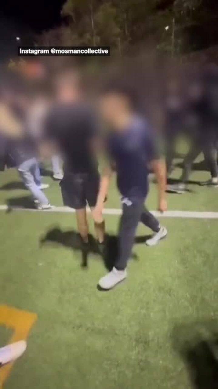 Wild brawl at community fireworks
