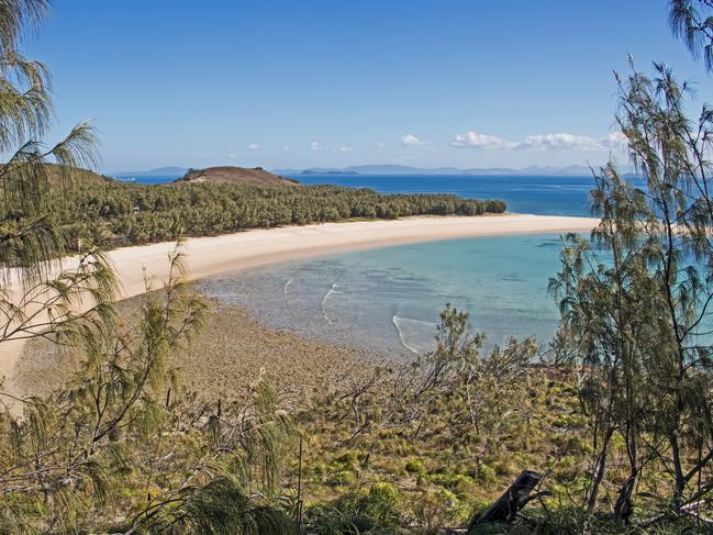 A man has died following a shark bite incident in waters off Humpy Island.