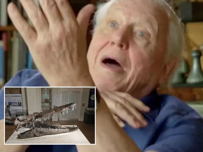 Sir David Attenborough has made an absolutely unbelievable discovery while filming for an upcoming BBC show. Credit: BBC