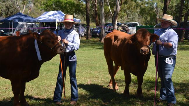 Hannah Needer and Abby Nowland show cattle at the Proston Show on March 7, 2020. (Photo: Jessica McGrath)