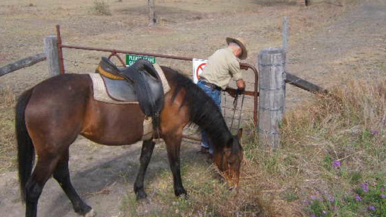 Nanango Shire Mayor Reg McCallum 80yrs amond riders on the old Brisbane Valley rail trail - travel tourism horseriding trails Dec 2006