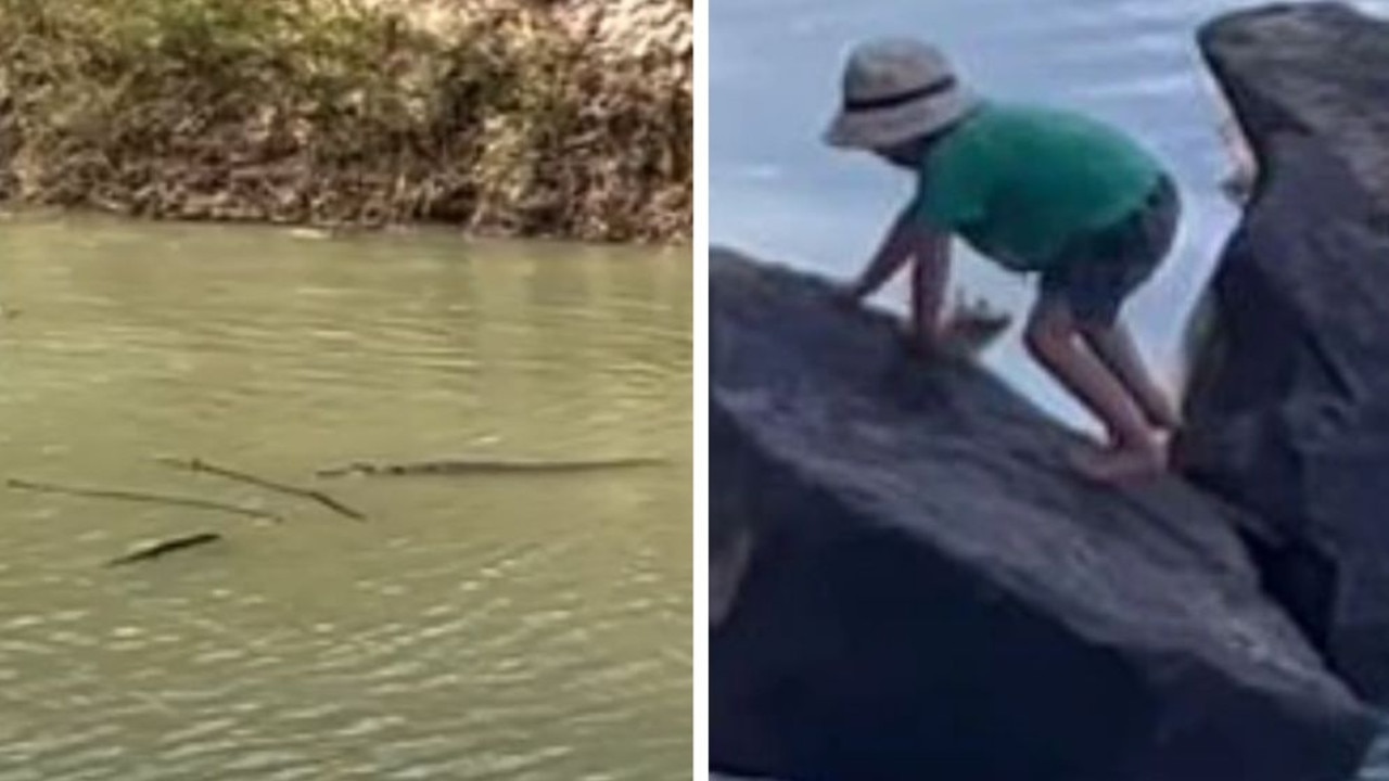 Family criticised after child filmed meters from pack of crocodiles in Northern Territory