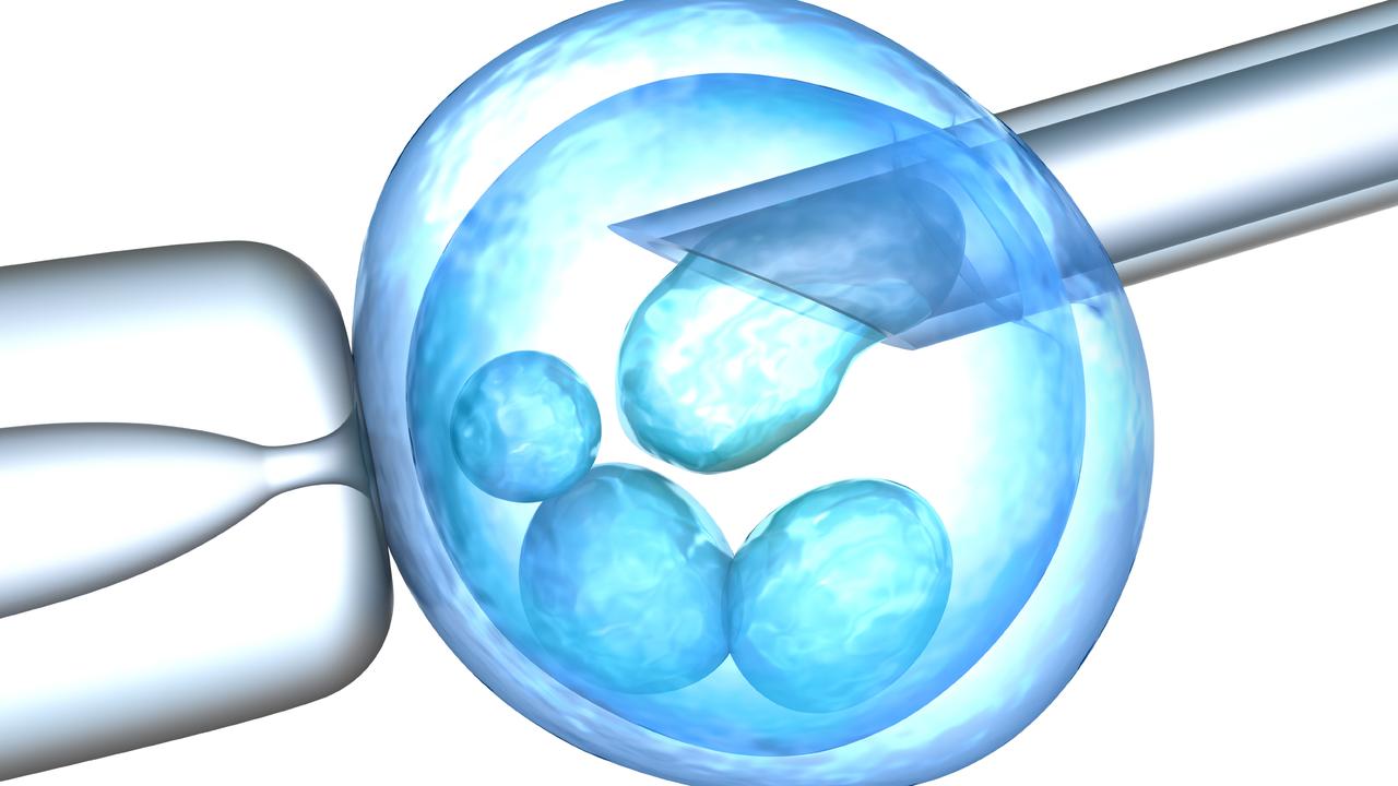 The woman had children together through IVF. Picture: iStock