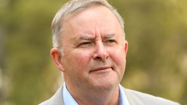 Australian Opposition Leader Anthony Albanese says he would back any projects that create jobs for Queenslanders. Picture: AAP