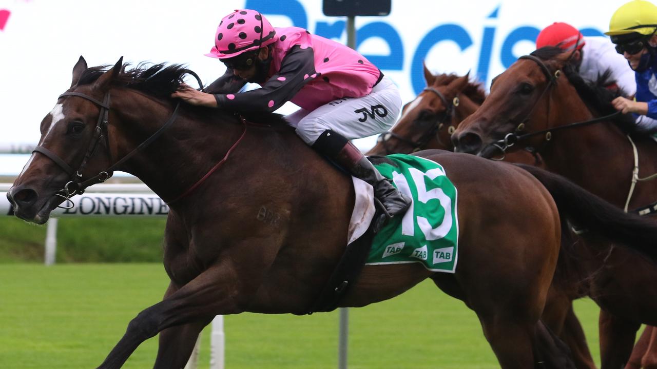 Dream Circle winning at Randwick. Photo: Grant Guy