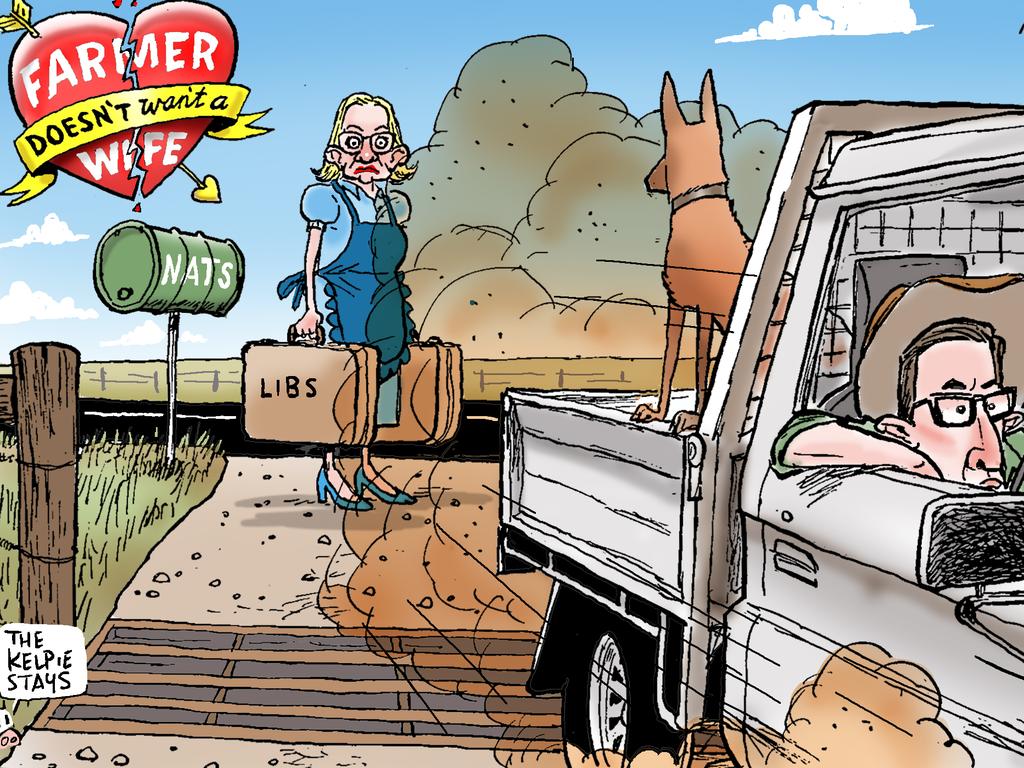 Mark Knight cartoon on the Coalition split was the subject of last week’s cartoon explainer – check out Mark’s dedicated News Cartoon page under Key Topics on the Kids News homepage. Picture: Mark Knight