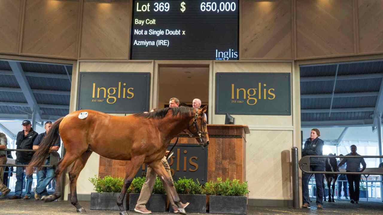 Inglis Easter Yearling Sale underway