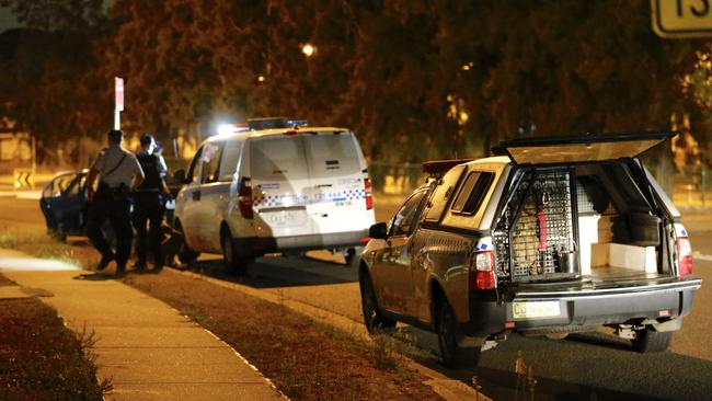 Police dogs search for suspects after the brawl at St Martins Cres, Blacktown. Picture: Steve Tyson