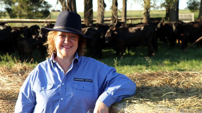 Gina Rinehart owns a lot of land in the NT. Picture: Supplied