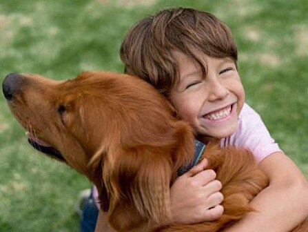 Young boy with pet dog. Picture: iStock.